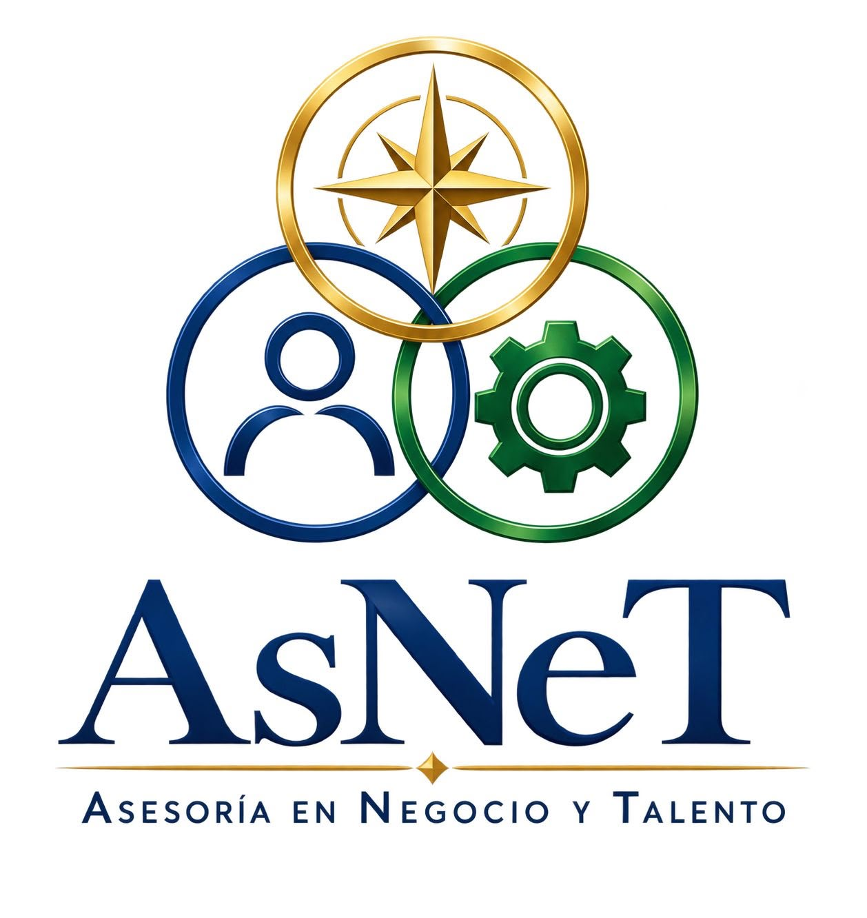 AsNeT — Asesoría en Negocio y Talento